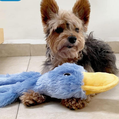 Crinkle Dog Toy for Small, Medium, and Large Breeds, Cute No Stuffing Duck with Soft Squeaker, Fun for Indoor Puppies and Senior Pups,...