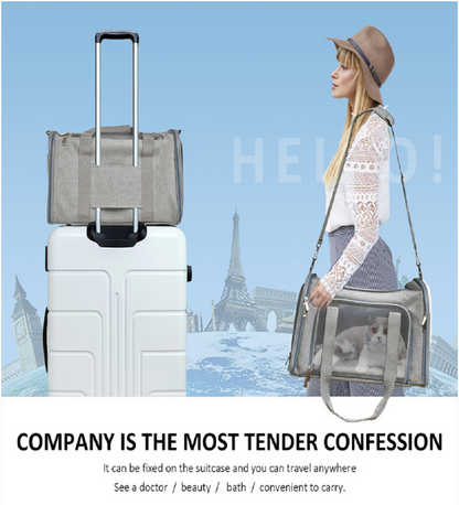 Pauflask Pet Carrier for Small and Medium dogs cats, Airline Approved